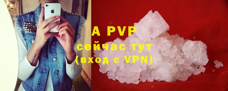 A-PVP СК  Приморско-Ахтарск 