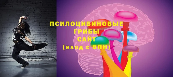 гидропоника Магас