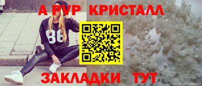 стаф Заволжье