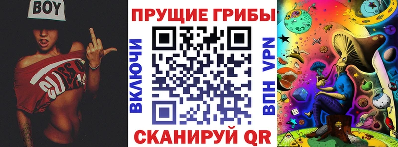Галлюциногенные грибы Psilocybe  Приморско-Ахтарск 