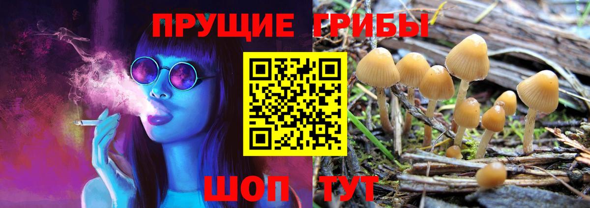 Галлюциногенные грибы GOLDEN TEACHER Приморско-Ахтарск