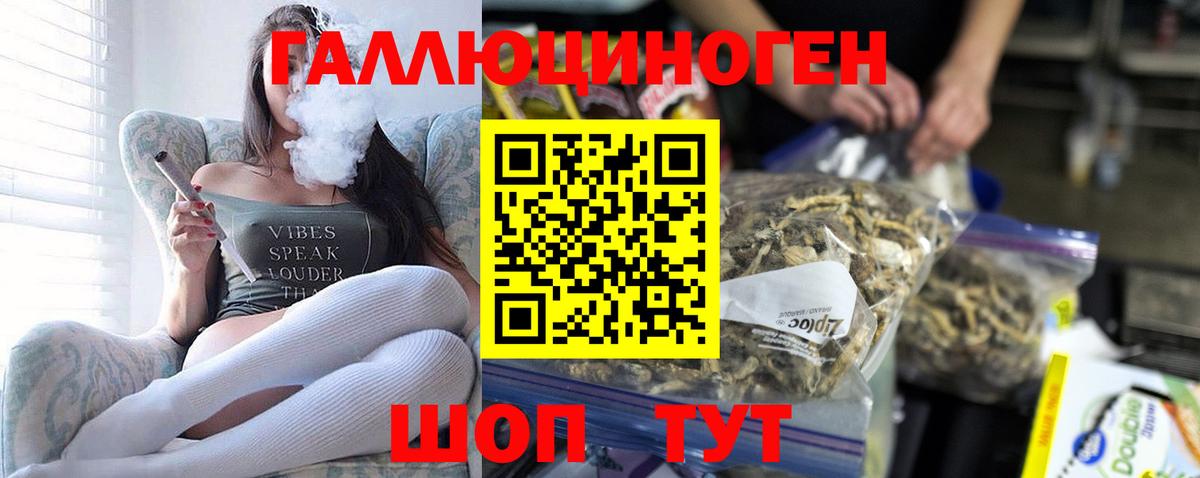 Приморско-Ахтарск  как найти закладки  Вход с VPN  Галлюциногенные грибы ЛСД  Псилоцибиновые грибы MAGIC MUSHROOMS 
